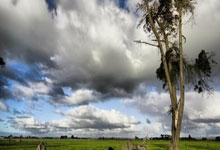 还没决定去留!字母哥潜在下家曝光,5大热门球队,谁最适合他?