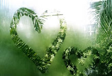 太诡异了!美国一女子为健身练习四足跑步,外国女孩四肢跑