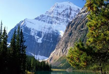 还没决定去留！字母哥潜在下家曝光，5大热门球队，谁最适合他？