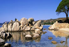 还没决定去留!字母哥潜在下家曝光,5大热门球队,谁最适合他?