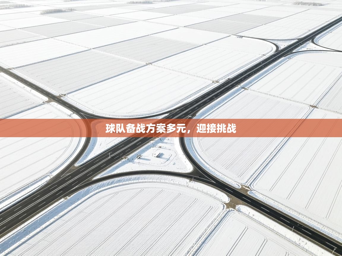 球队备战方案多元，迎接挑战  第2张