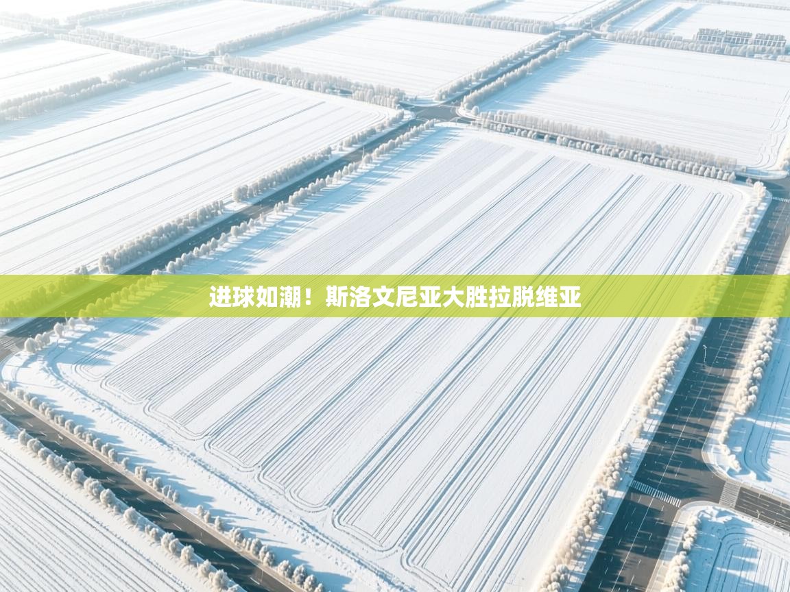 进球如潮！斯洛文尼亚大胜拉脱维亚  第1张